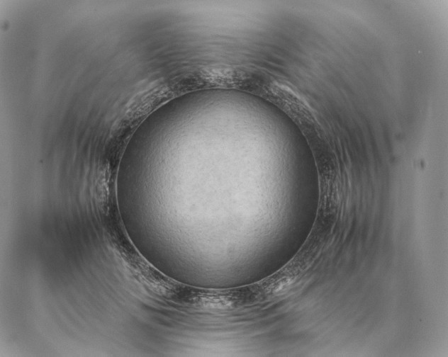 X0000086940702200704231358