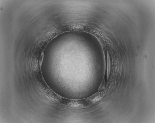 X0000086940704200704231358