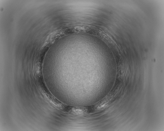 X0000086940706200704231358