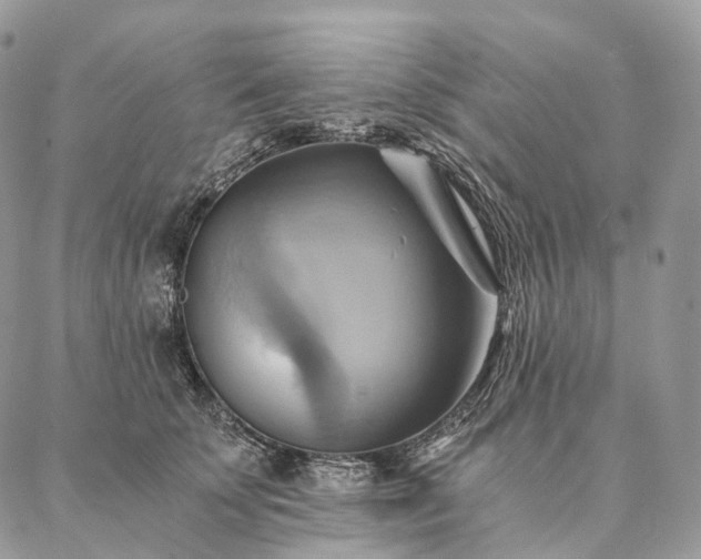 X0000086940707200704231358