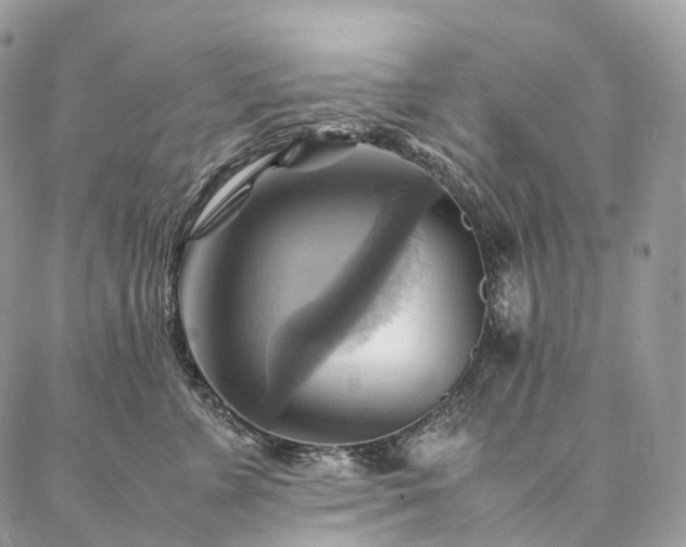 X0000086940715200704231357