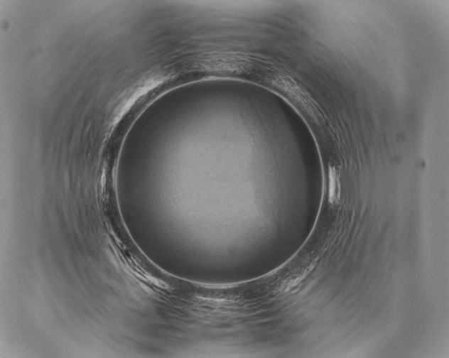 X0000086940723200704231357