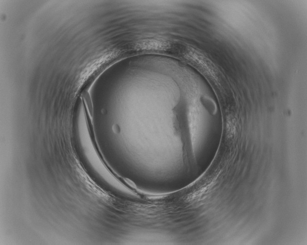 X0000086940725200704231357