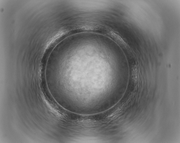 X0000086940730200704231357