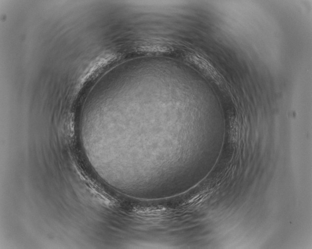 X0000086940731200704231357