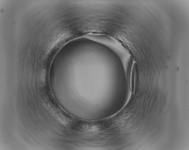 X0000086940735200704231357