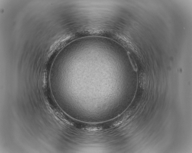 X0000086940740200704231357