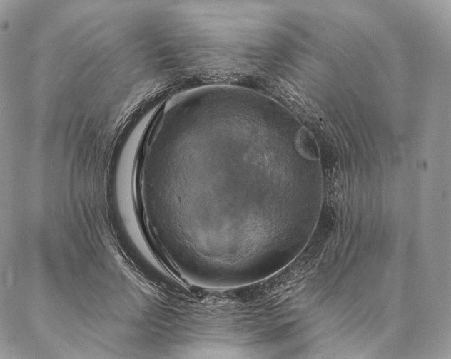 X0000086940742200704231357