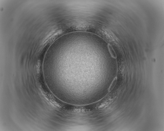 X0000086940744200704231357