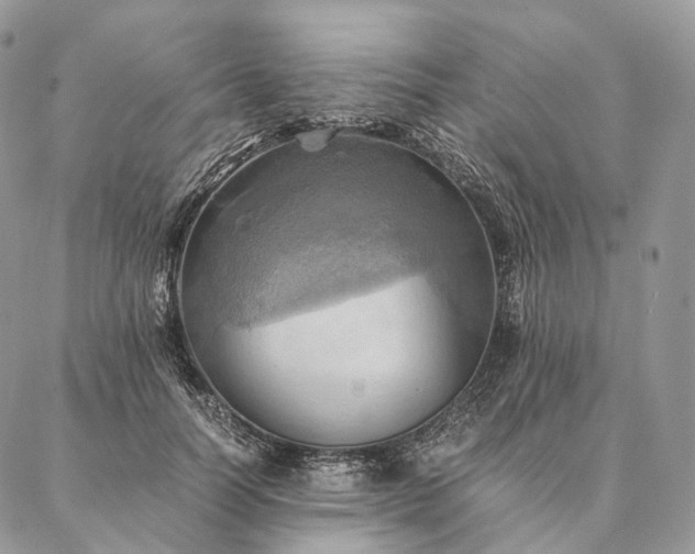 X0000086940746200704231357