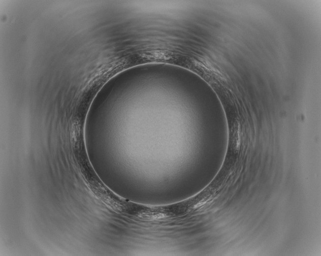 X0000086940747200704231357