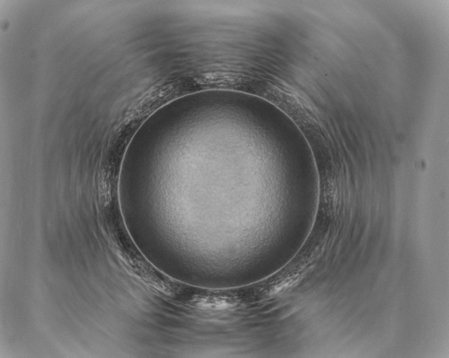 X0000086940751200704231357