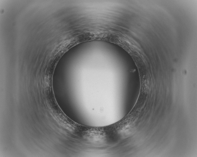 X0000086940756200704231357