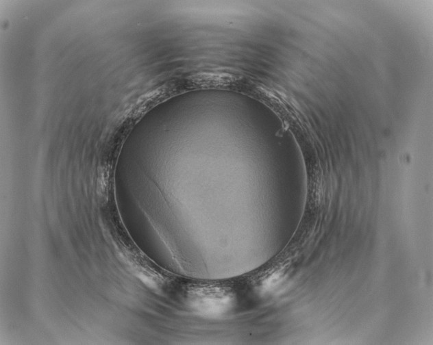 X0000086940759200704231357