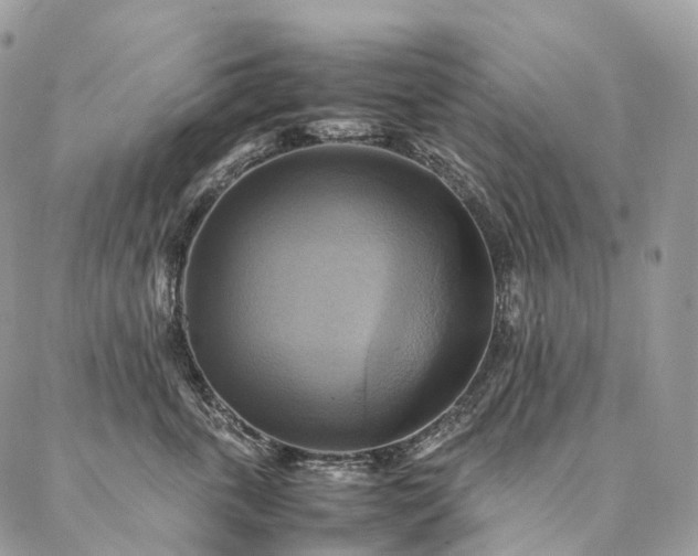 X0000086940763200704231357