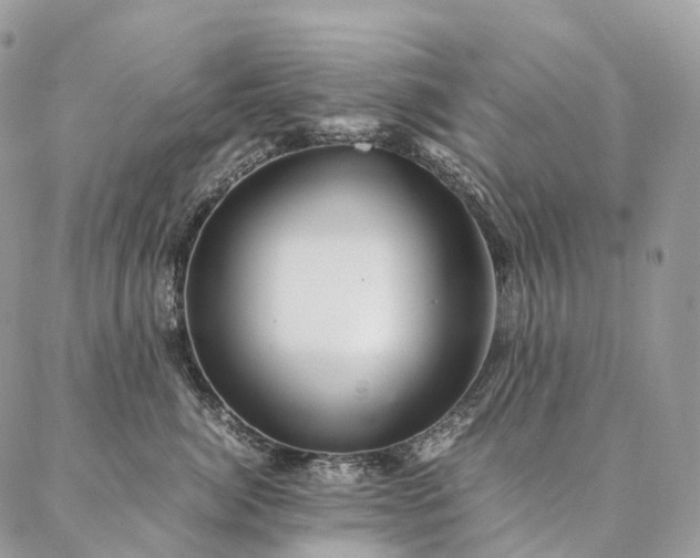 X0000086940764200704231357