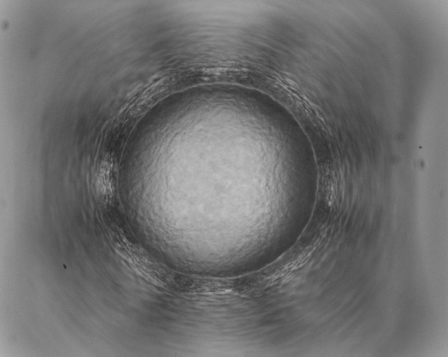 X0000086940770200704231357