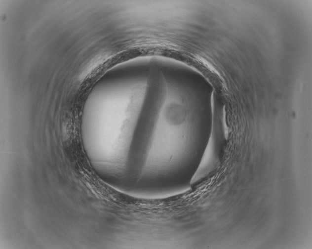 X0000086940775200704231356