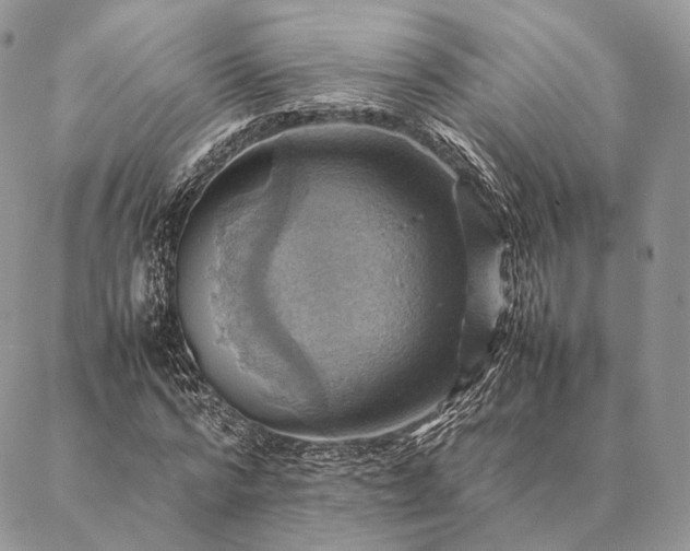 X0000086940776200704231356