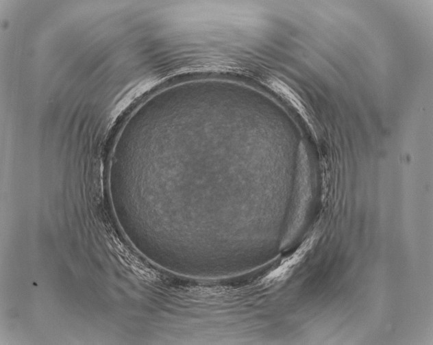 X0000086940781200704231356