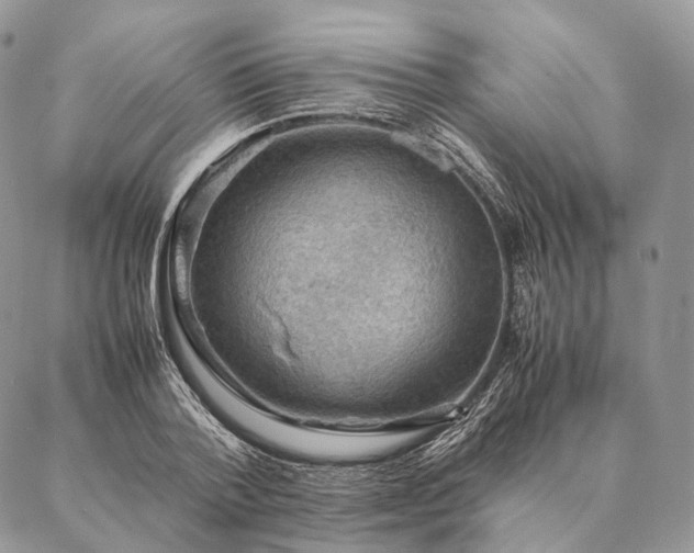X0000086940788200704231356