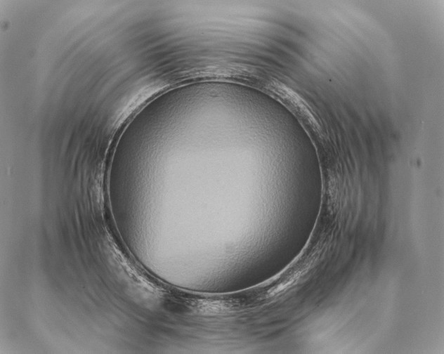 X0000086940794200704231356