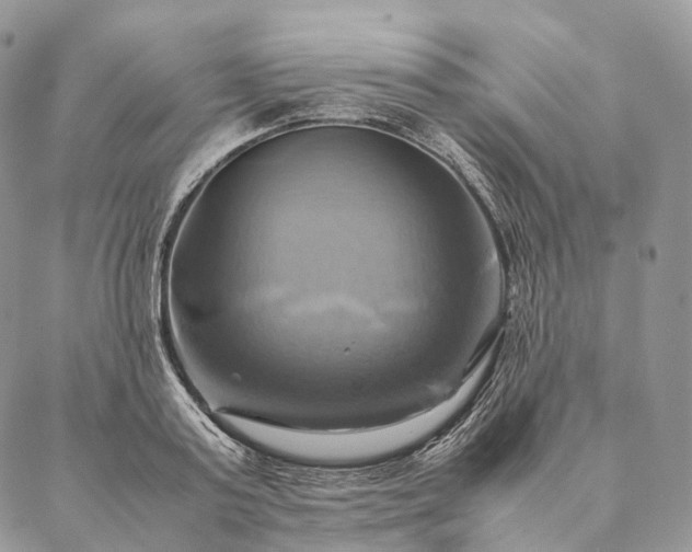 X0000086940795200704231356