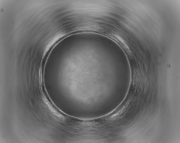 X0000086940796200704231356