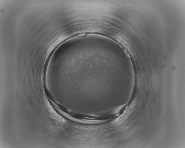 X0000086940797200704231356