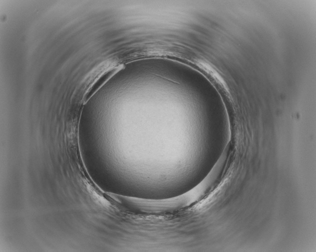 X0000086940801200704231356