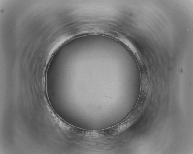 X0000086940807200704231356
