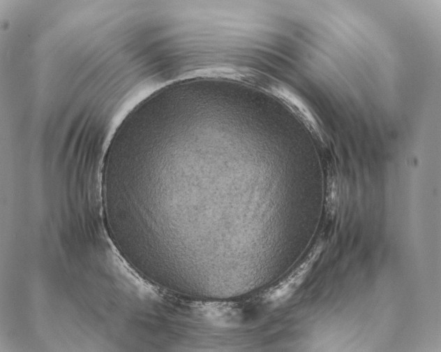 X0000086940808200704231356