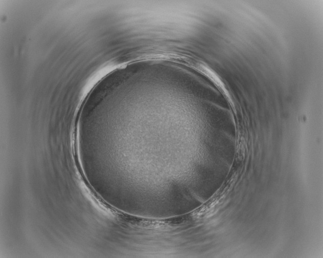 X0000086940811200704231356