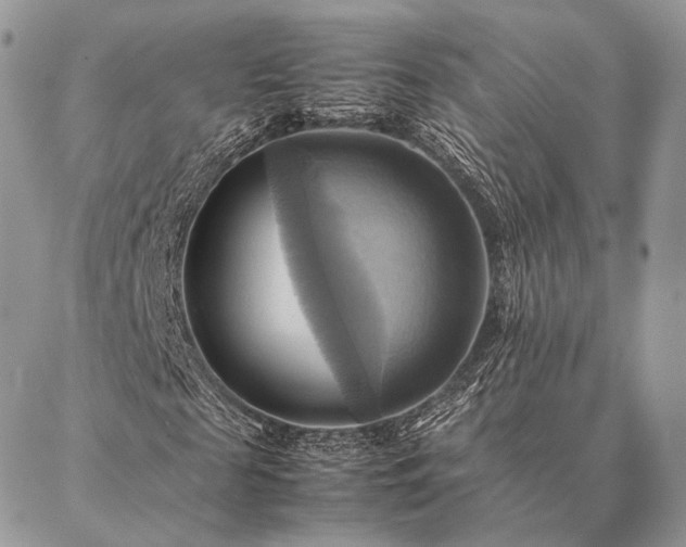 X0000086940817200704231355