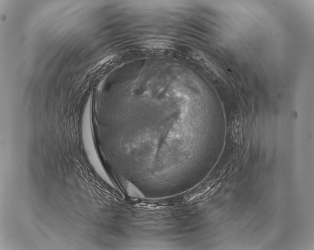 X0000086940821200704231355
