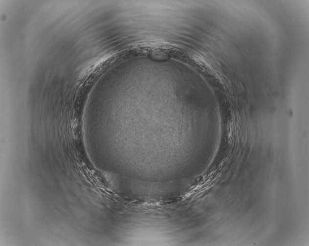 X0000086940822200704231355