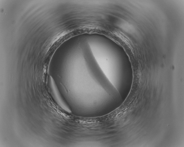 X0000086940823200704231355