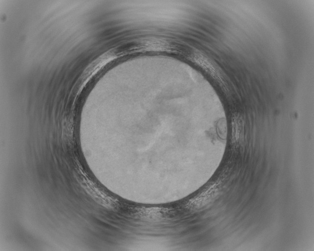 X0000086940828200704231355