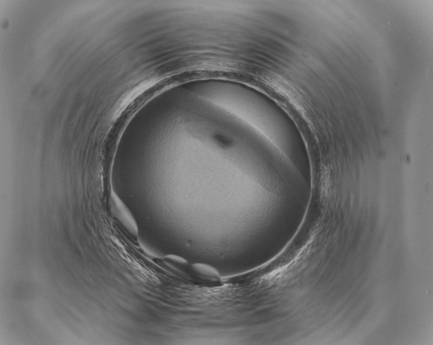 X0000086940829200704231355