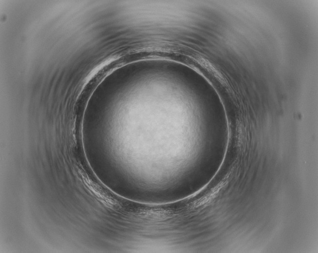 X0000086940830200704231355