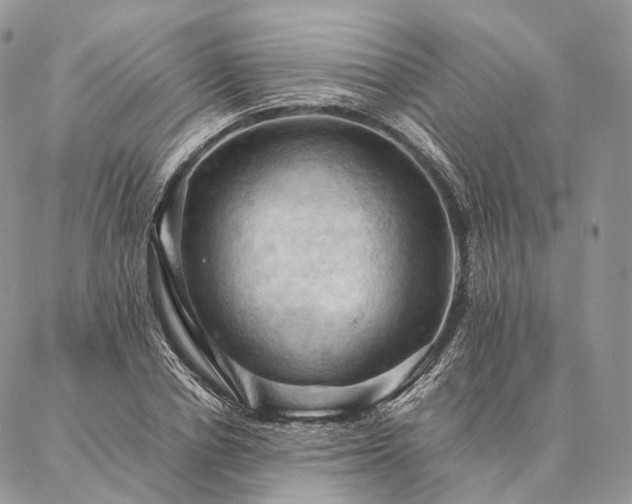 X0000086940834200704231355