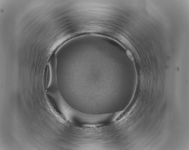 X0000086940842200704231355
