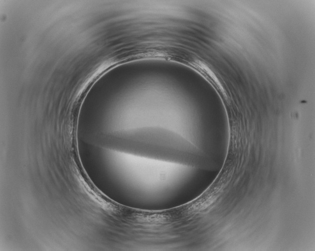 X0000086940851200704231356