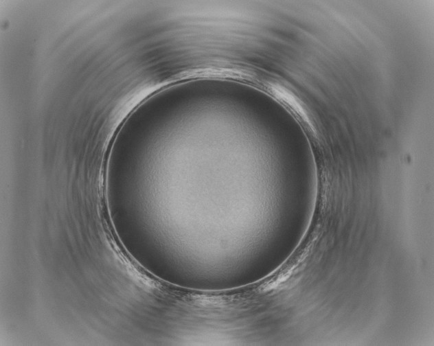 X0000086940852200704231356
