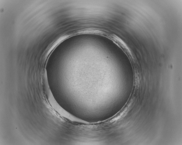 X0000086940860200704231356