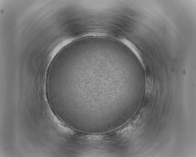 X0000086940861200704231356