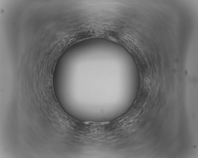 X0000086940865200704231355