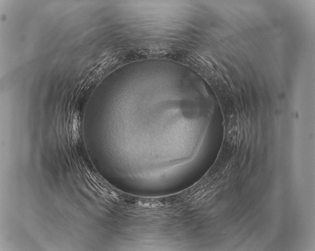X0000086940866200704231355
