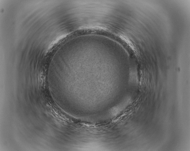 X0000086940872200704231355