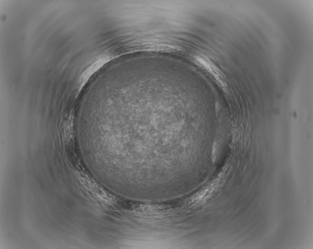X0000086940875200704231355